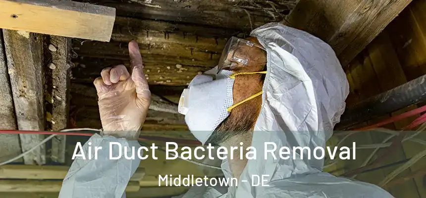  Air Duct Bacteria Removal Middletown - DE