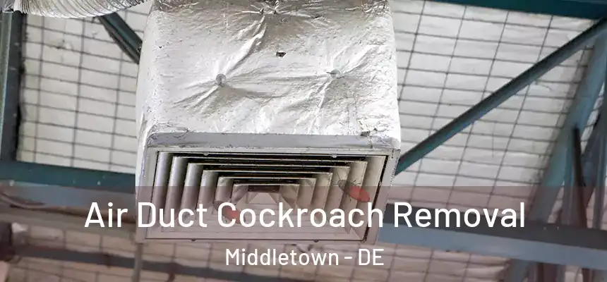  Air Duct Cockroach Removal Middletown - DE
