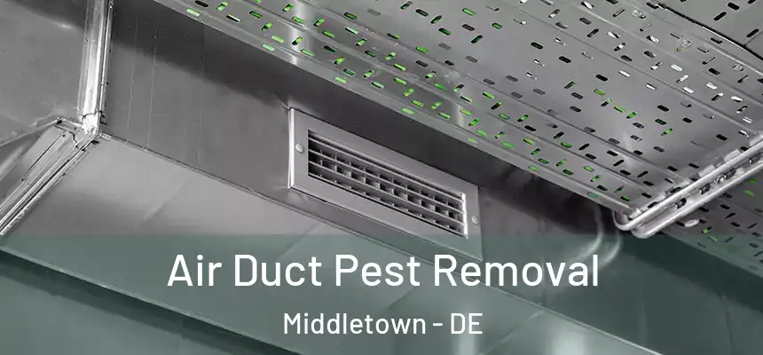  Air Duct Pest Removal Middletown - DE