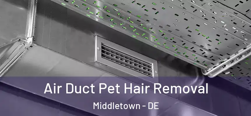  Air Duct Pet Hair Removal Middletown - DE