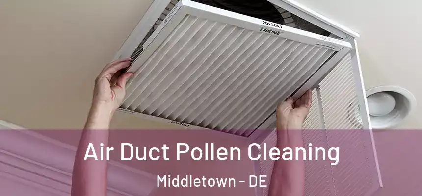  Air Duct Pollen Cleaning Middletown - DE