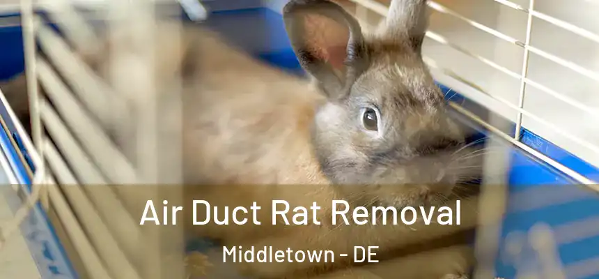 Air Duct Rat Removal Middletown - DE