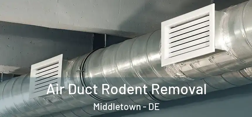  Air Duct Rodent Removal Middletown - DE