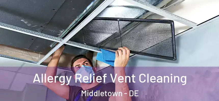  Allergy Relief Vent Cleaning Middletown - DE