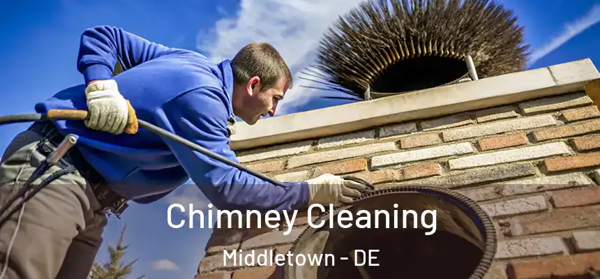  Chimney Cleaning Middletown - DE