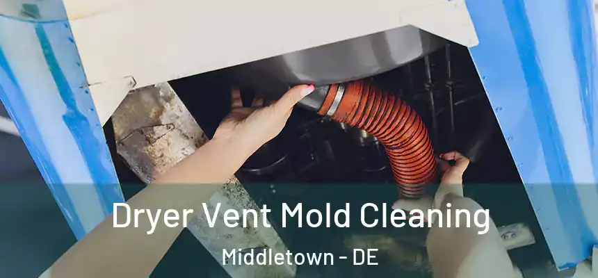  Dryer Vent Mold Cleaning Middletown - DE