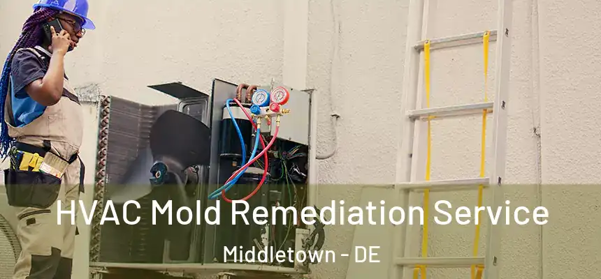  HVAC Mold Remediation Service Middletown - DE