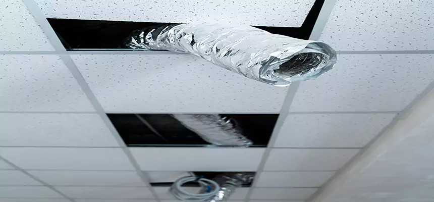 Our Air Duct Pet Hair Removal Services in Middletown, DE