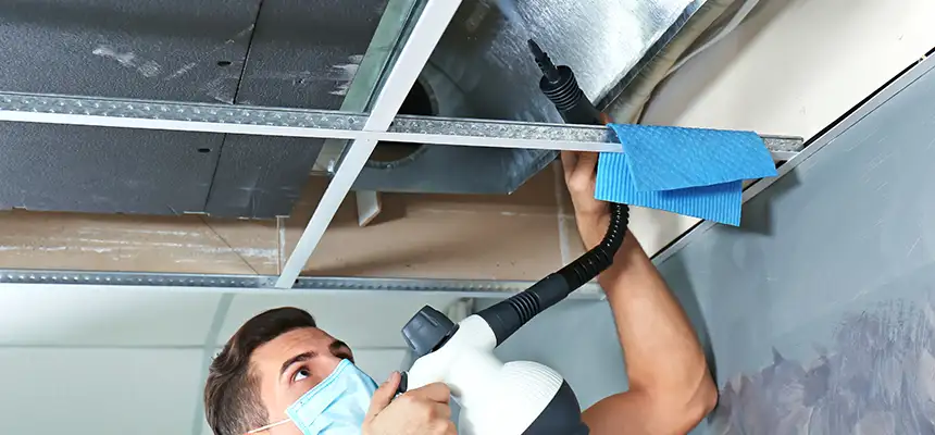 Our Air Duct Rodent Removal Services in Middletown, DE