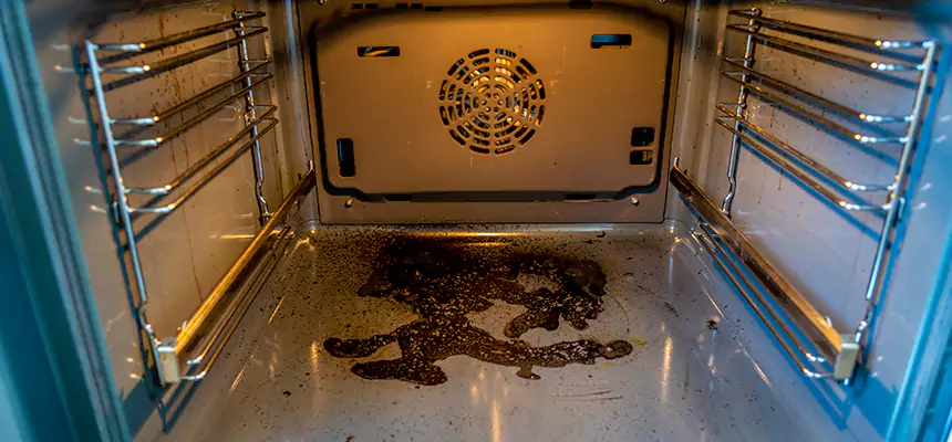 Our Dryer Vent Mold Cleaning Services in Middletown, DE