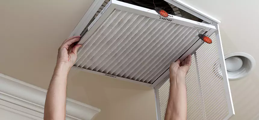 Our Insect Removal from Air Ducts Services in Middletown, DE