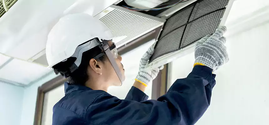 Our Mold & Mildew Removal from Air Ducts Services in Middletown, DE