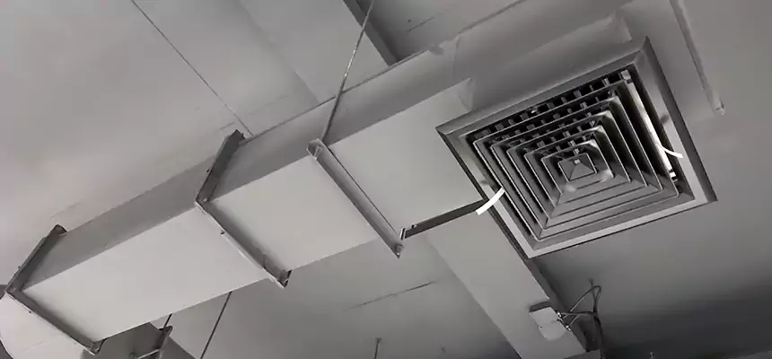 Our Pest Removal From Ducts Services in Middletown, DE