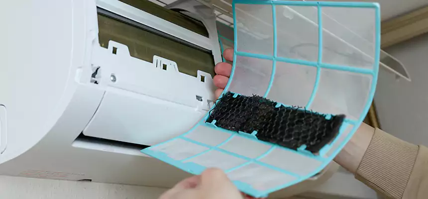 Gentle Ductwork Odor-Control Pet Dander Duct Cleaning in Middletown, DE