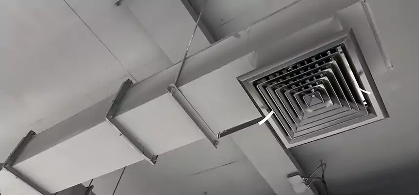 Our Rodent Droppings In Vents Services in Middletown, DE