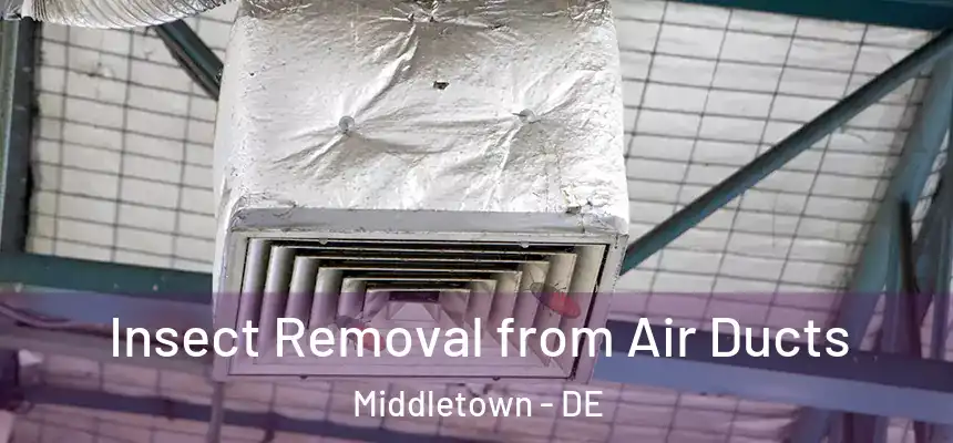 Insect Removal from Air Ducts Middletown - DE