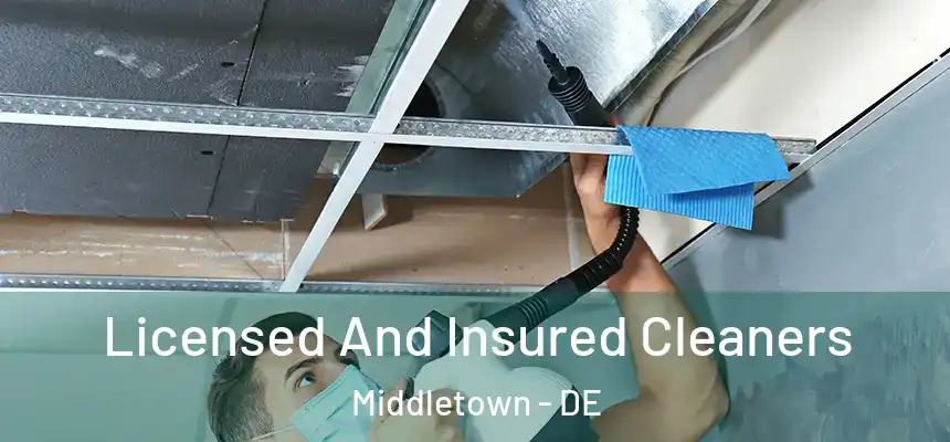 Licensed And Insured Cleaners Middletown - DE