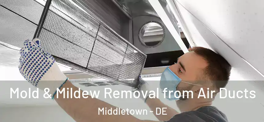 Mold & Mildew Removal from Air Ducts Middletown - DE