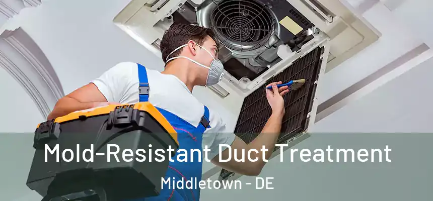  Mold-Resistant Duct Treatment Middletown - DE