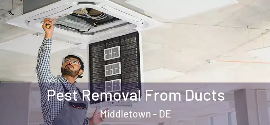  Pest Removal From Ducts Middletown - DE