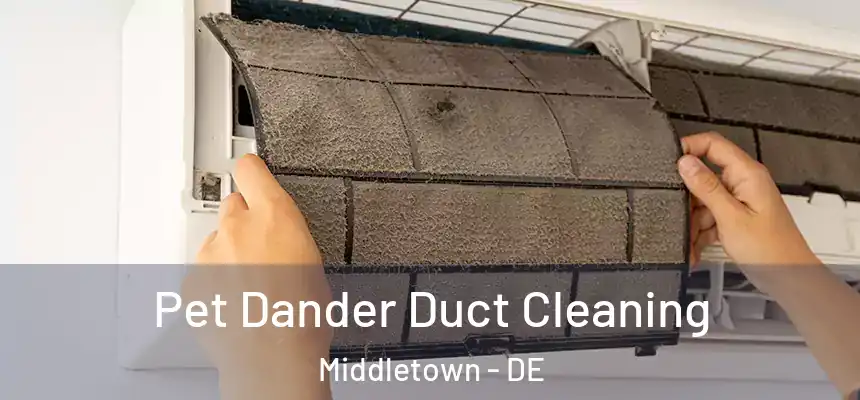  Pet Dander Duct Cleaning Middletown - DE