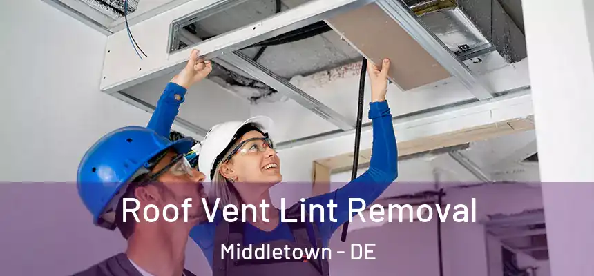  Roof Vent Lint Removal Middletown - DE