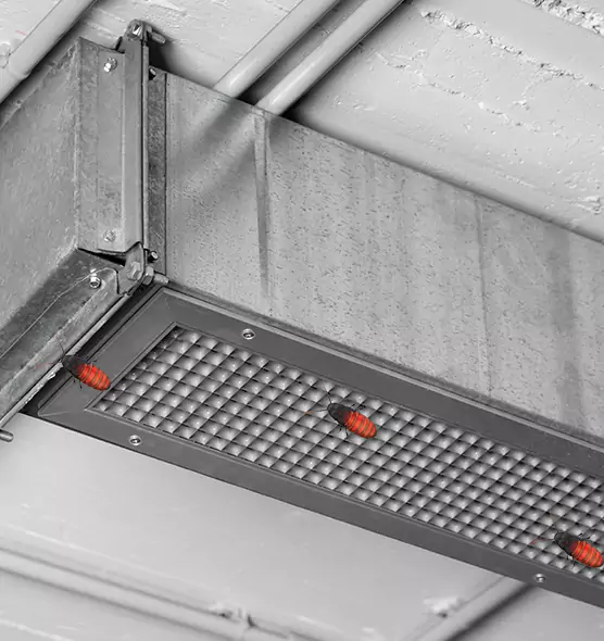 About Air Duct Cockroach Removal in Middletown, DE