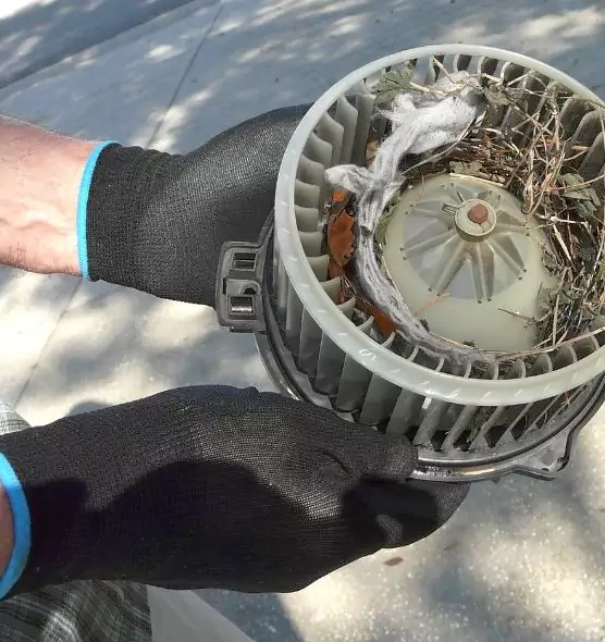 About Air Duct Rat Removal in Middletown, DE