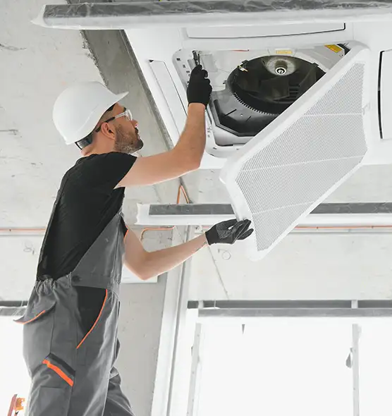 About Air Duct Rodent Removal in Middletown, DE