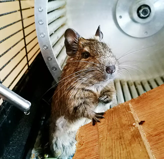 Why Homeowners & Businesses Trust Us Middletown, DE