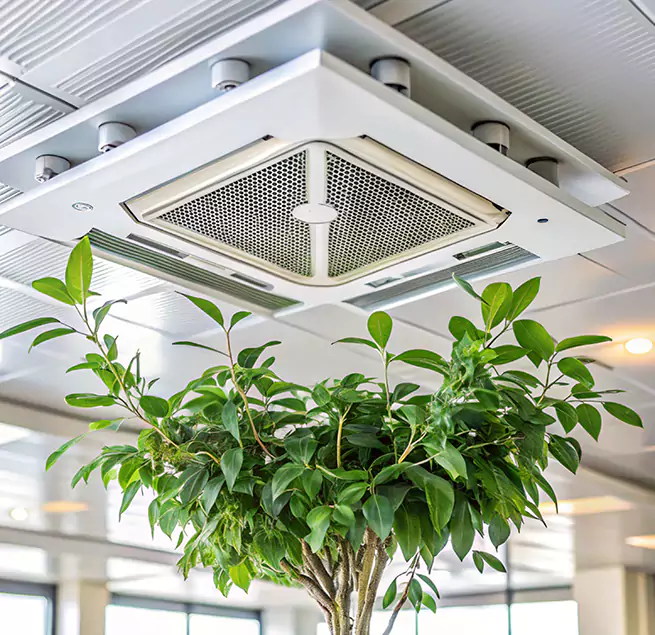 Why Homeowners & Businesses Trust Us in Middletown, DE