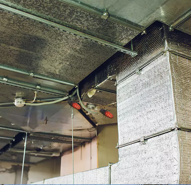 Why Homeowners & Businesses Trust Us Middletown, DE?