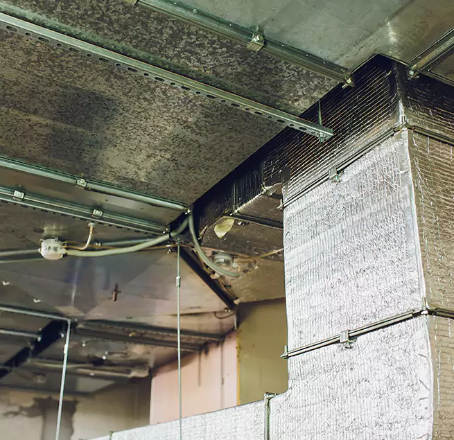 Why Homeowners & Businesses Trust Us in Middletown, DE?